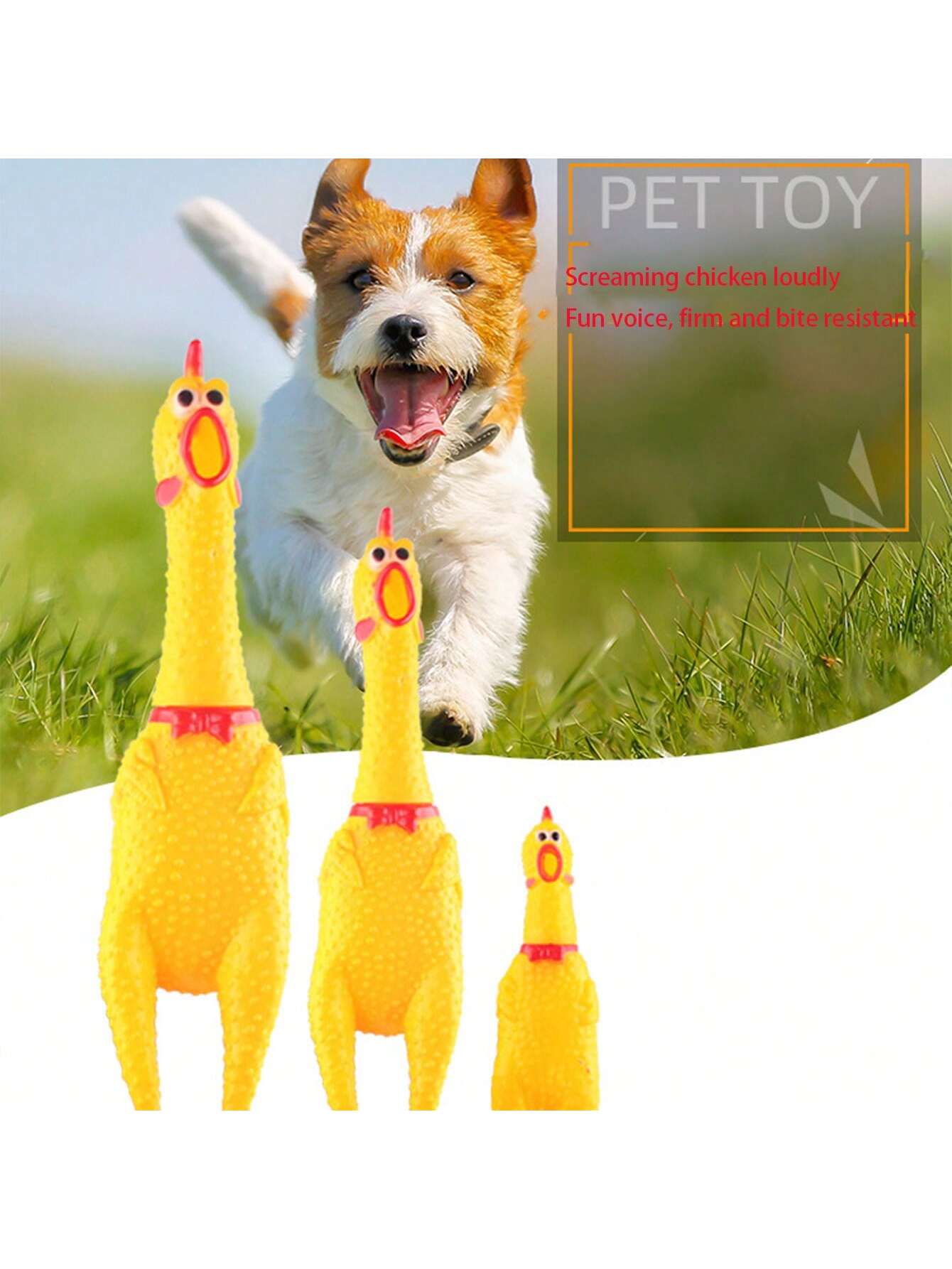 3pcs Pet Squeaky Chicken Screaming Toys